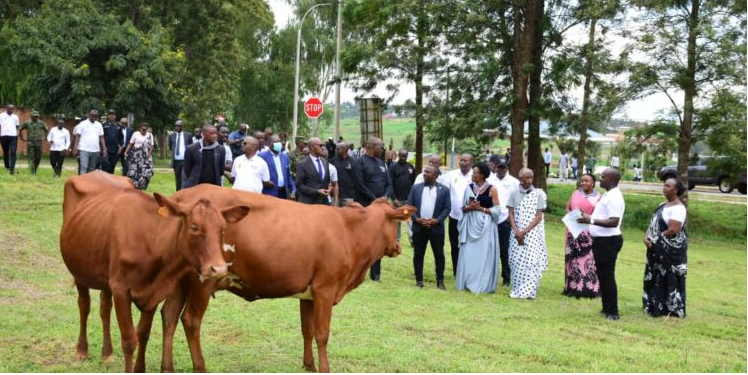 Iburasirazuba : Abikorera baremeye inka 100 abarokotse Jenoside yakorewe abatutsi